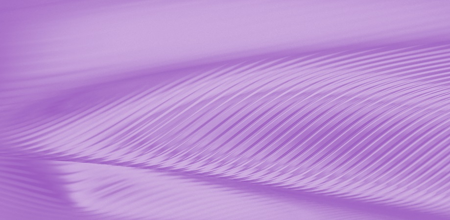 IQN (INTERNATIONAL QUALIFICATION NETWORK)